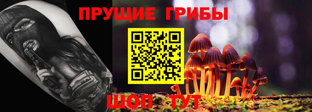 Балашов  купить наркоту  Вход с VPN  Галлюциногенные грибы MAGIC MUSHROOMS 